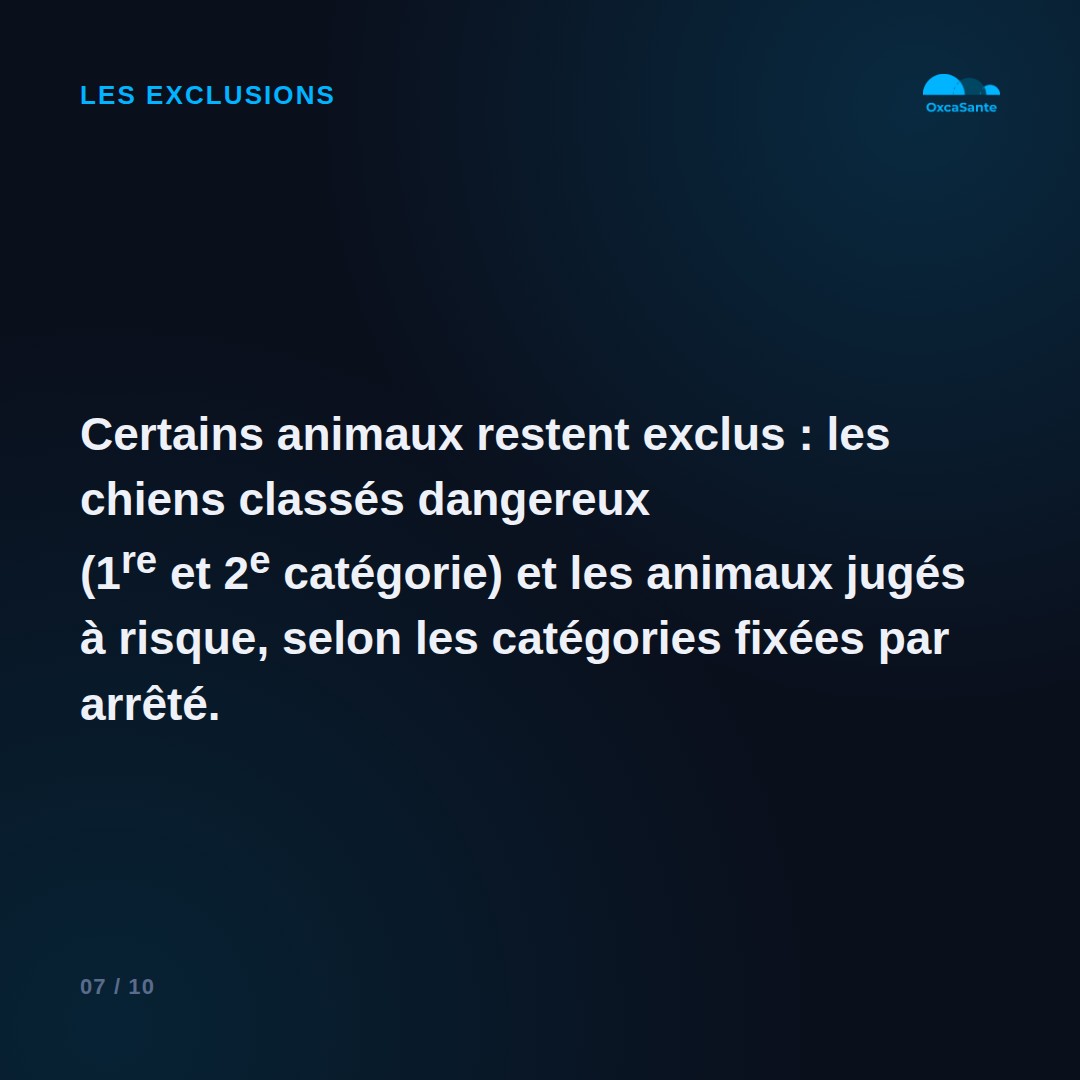 Slide 7 du carrousel : les chiens classés dangereux (1re et 2e catégorie) et certains animaux à risque restent exclus