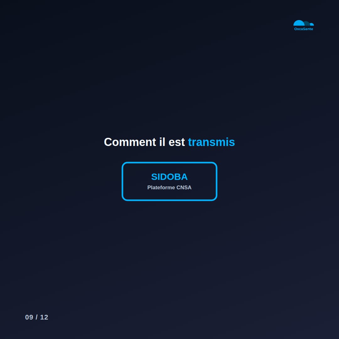 Slide 9 du carrousel : comment il est transmis, via SIDOBA, la plateforme de la CNSA