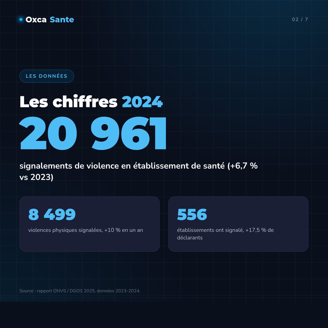 Slide 2 du carrousel : 20 961 signalements en 2024, +6,7 % vs 2023 ; 8 499 violences physiques, +10 % ; 556 établissements ont signalé, +17,5 % de déclarants